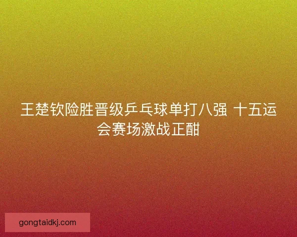 王楚钦险胜晋级乒乓球单打八强 十五运会赛场激战正酣 王楚钦险胜晋级乒乓球单打八强 十五运会赛场激战正酣